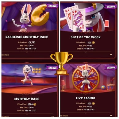 Magius Casino Registration Process 9