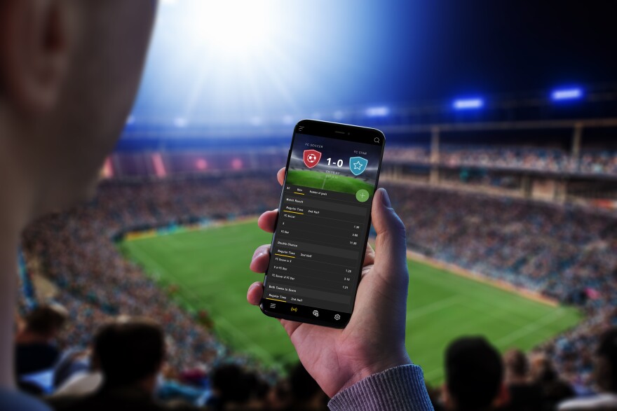Betwinner India Your Ultimate Guide to Online Betting
