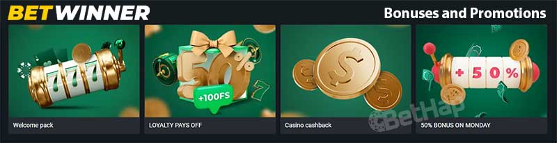 Everything You Need to Know About Betwinner