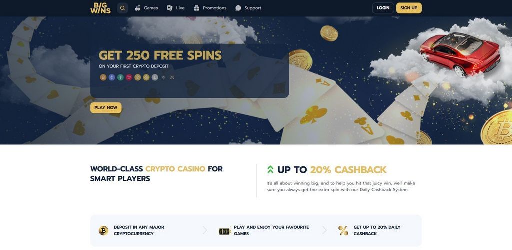 Big Wins Gambling Establishment Evaluation