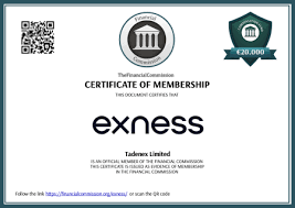 The Rise of Online Trading Understanding Exness FB
