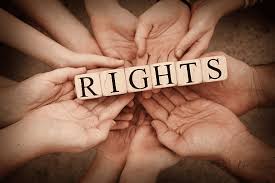 Championing Justice The Role of a Human Rights Law Firm 1351267207