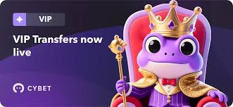 Comprehensive Review of Cybet Casino Your Ultimate Gaming Destination -764197855