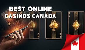 Discovering the Best Online Casinos in Canada -202136761