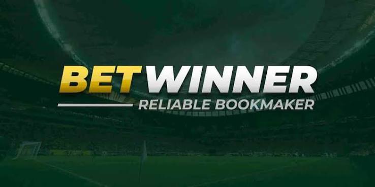 Download the BetWinner APK File for Your Mobile Betting Experience