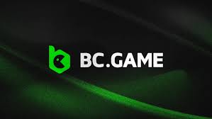 Everything You Need to Know About the BC.Game App